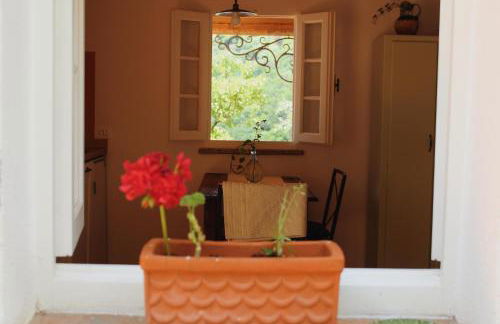 Bice di Casteruggia - Foto 11