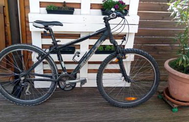 Ferienwohnung in Grenzach - Foto 25