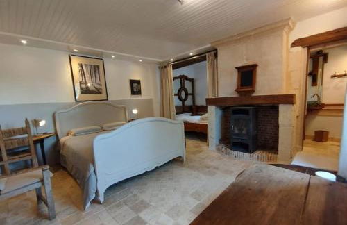 Chenonceau et le zoo de Beauval à deux pas - Foto 1