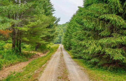 Swaying Pines Cabin w/EV Charger - Foto 29