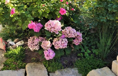 Kreativ Ferienwohnung Domizil der Sinne - Foto 12