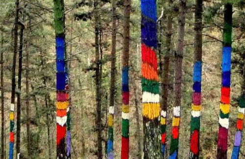 Encanto junto al puerto - Arostegi Etxea - Foto 34