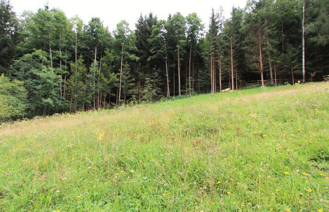 Quiet Holiday Home Near ski Resort - Foto 23