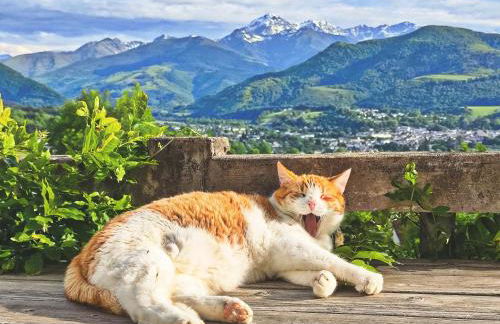 HiPyrenees - Top studio - Foto 1