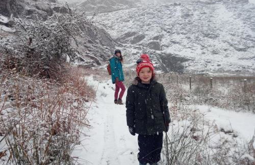 Traditional 19th Century Slate Miners Cottage - Foto 18