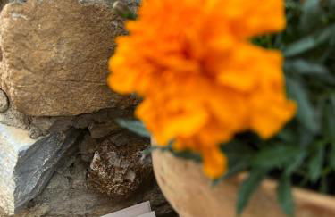 Casa Tapiolas Rectoría - Foto 34