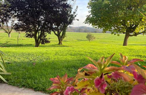 FeWo - Natur, Ruhe und Erholung - Foto 1