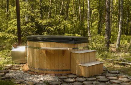 Biały Las Magiczna Stara Chata Puszcza Białowieska - Foto 47