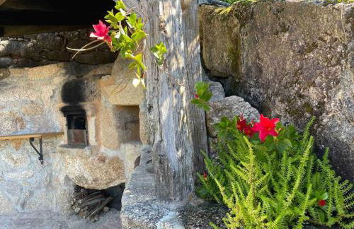 Petra's House Gerês - Foto 23