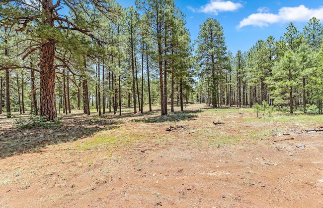 Breton 3303 Flagstaff - Foto 68