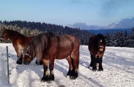 Apartment in Eibenstock 30354 - Foto 43