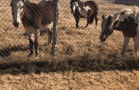 Orr Family Farm & RR, LLC - Photo 11