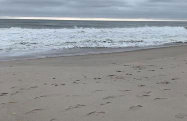 Gorgeous beach house with large pool & private beach, just 3 blocks away!! - Foto 58