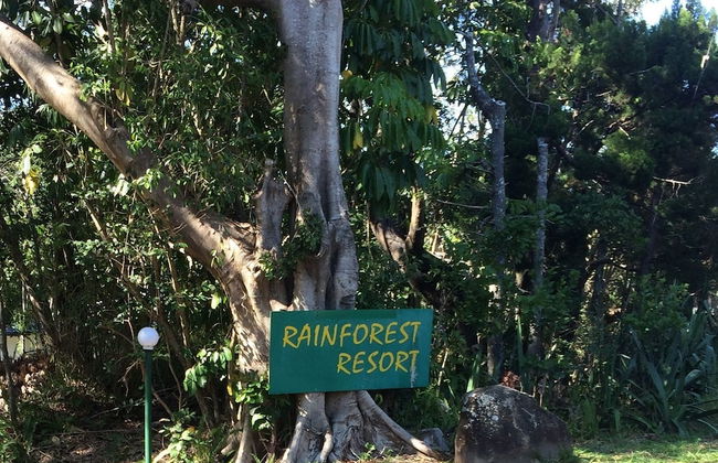 Byron Bay Rainforest Resort - Photo 29