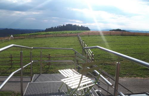 Ferienwohnung am Dachsberg, Bayerischer Wald - Foto 3
