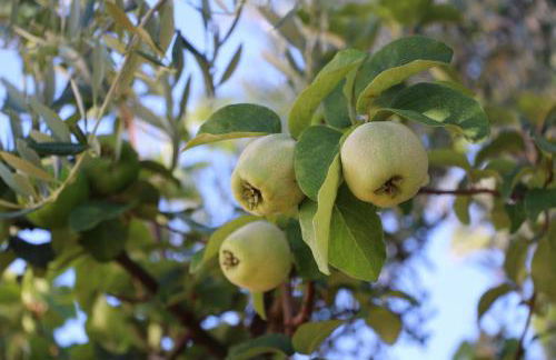 Casa Dos Livres - Foto 15