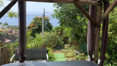 Granny House Madeira - Foto 4, Garden, Garden view