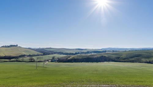 Sunflower con vista su Siena - Foto 3