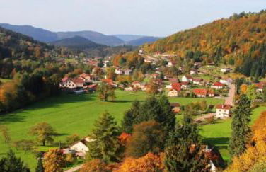 BEAUTIFUL CHALET in nature near Gerardmer! - Foto 37