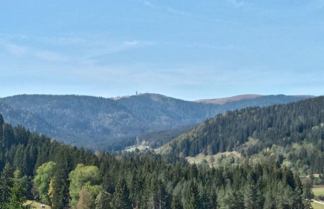 Pine Cones in the Haslehaus - Foto 15