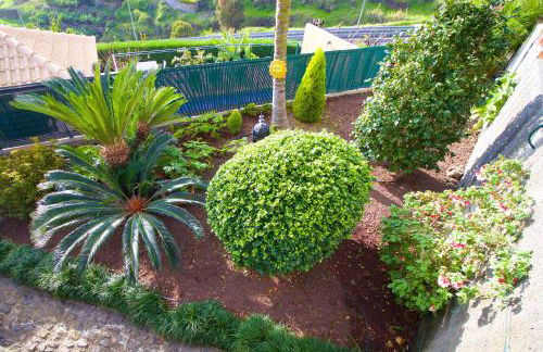 Casa da Rainha - Foto 6