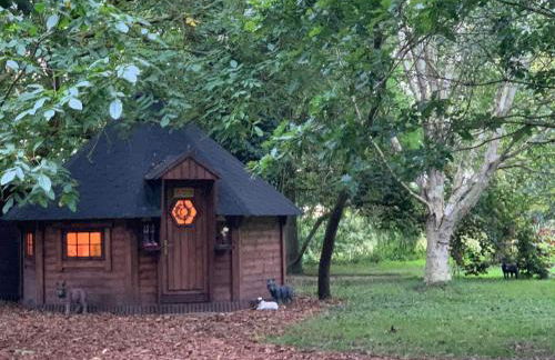 Starry Meadow & Rescued Animal Experiences - Foto 18