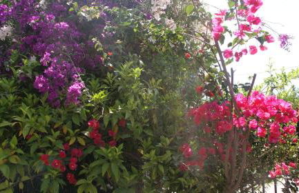 Villa Christina - Foto 46