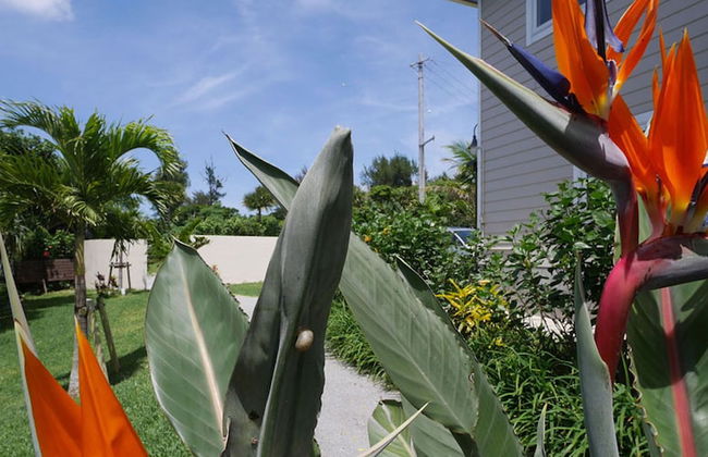 Private Vacation Villa Kohola - Foto 59