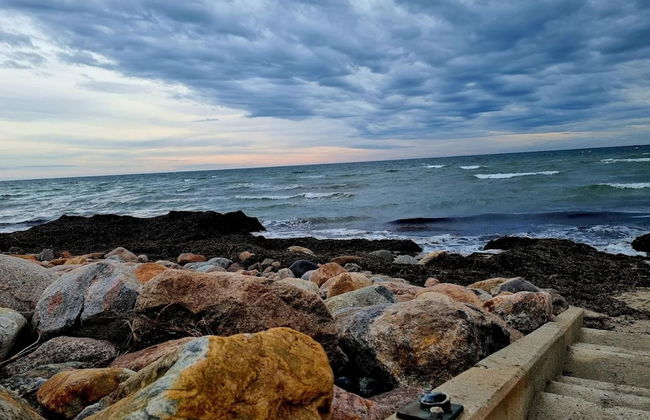 Reihenhaus mit Wlan in Buchholz am Muritzsee - Foto 38