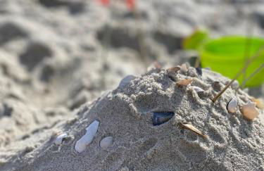 Strandliebe Markgrafenheide - Foto 25