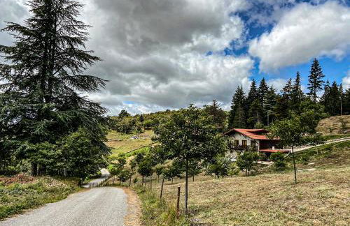 Quinta OUTONO DOURADO - Foto 67