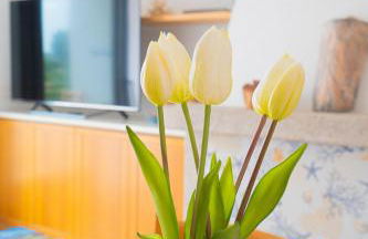 Casa Masini San Teodoro - Foto 12