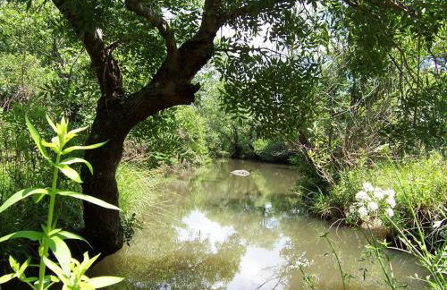 Las Lagunetas - Descanso Rural - El Capricho - Foto 36