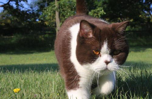 Agriturismo Valdifiori - Foto 42