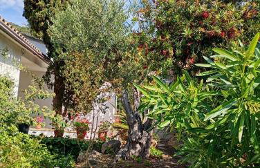Apartamentos Escorpion Tossa de Mar - Foto 22