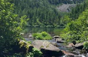 La Tana del Gufetto - Foto 50