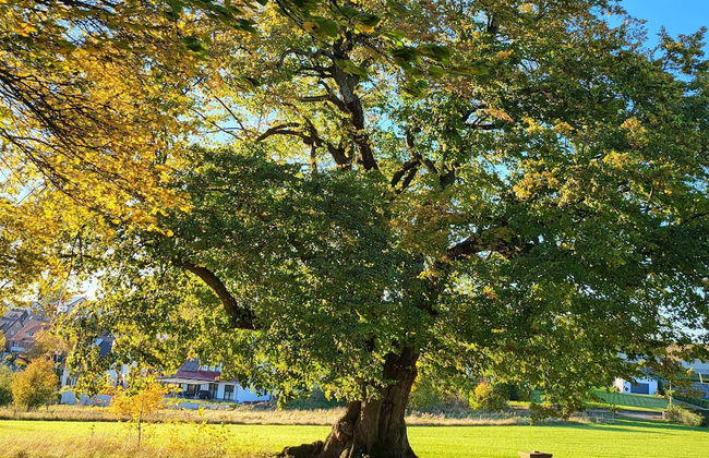 Sonnige Wohnung in Bad Driburg mit Garten - Foto 58