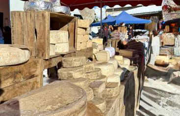 Appartement 4 couchages avec terrasse - Foto 14