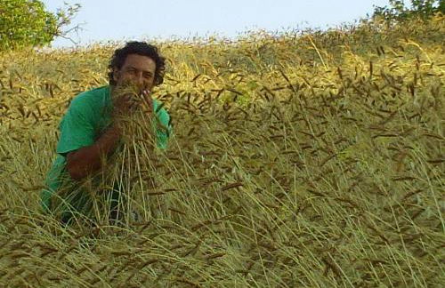 Agriturismo San Pietro - Foto 43