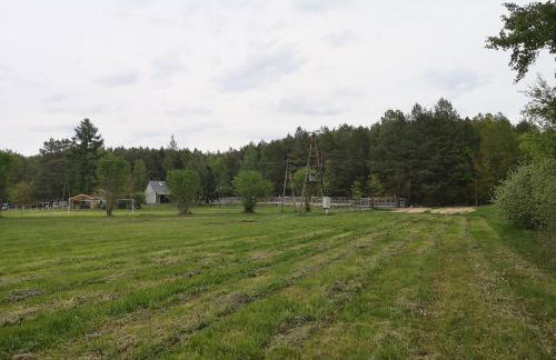 Agroturystyka PLENER - Foto 46