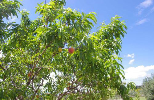 Apartment LuMaGo - Photo 36