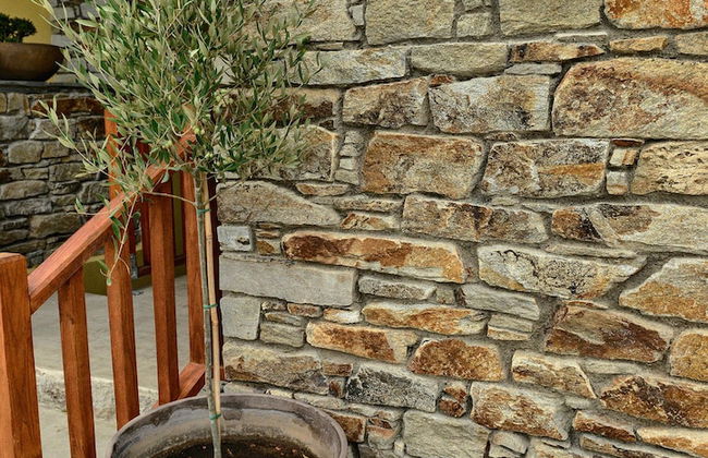 Anemoessa Luxury Villas - Photo 2