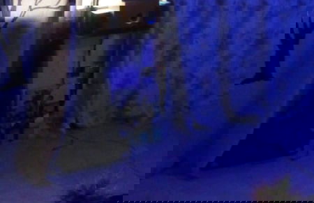 Loyalty Apartments - Foto 5