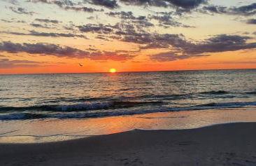 HeidAway Sylt - Schönes Appartment mit Terrasse/Garten - Foto 24