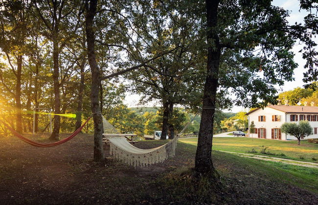 Agriturismo Il Beccafico Alpaca - Foto 35