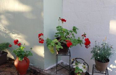 Πραβιτάδικο - Photo 53