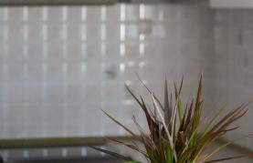 IKARUS apartment with courtyard & pool in Chania - Foto 11