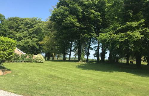 Tal Gwynedd - Foto 56