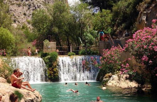 Cometa Center - Photo 39