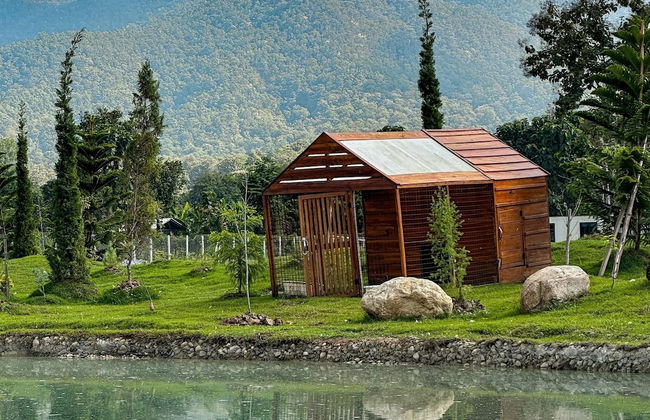 Pine Village - Foto 21